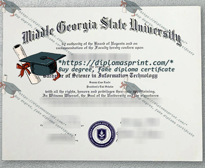 Middle Georgia State University Credentials