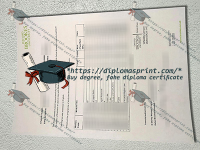 Oxford Brookes University Academic record