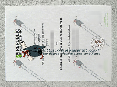 Republic Polytechnic Credentials