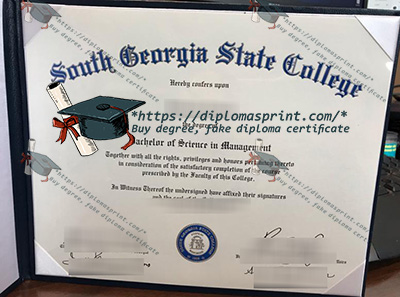 South Georgia State College Credentials
