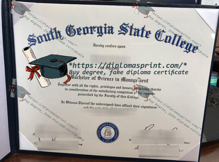 South Georgia State College Credentials