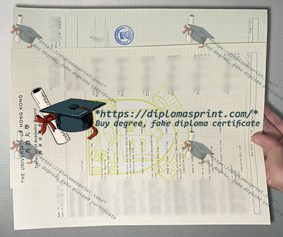University of Hong Kong Academic record