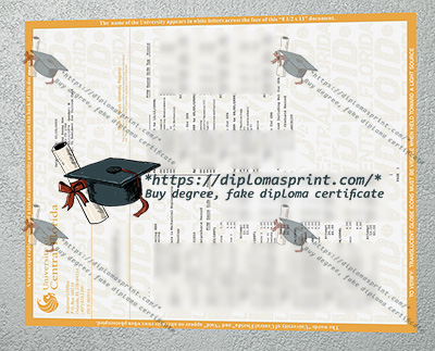 UCF Academic record