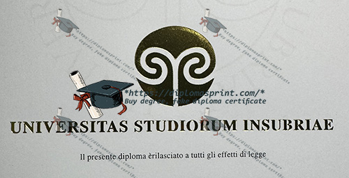 Università degli Studi dell'Insubria Credentials seal