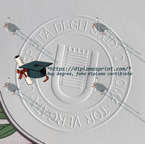 University of Rome Tor Vergata Credentials Seal University of Rome Tor Vergata Credentials Seal