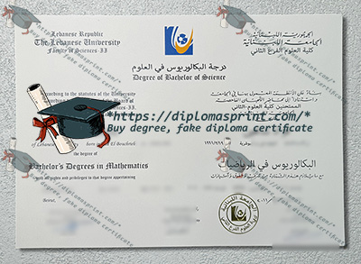 Université libanaise Credentials