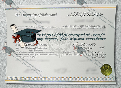 University of Balamand Credentials
