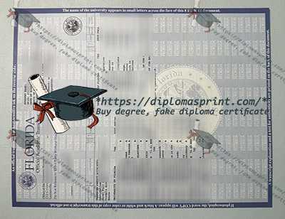 University of Florida Academic record