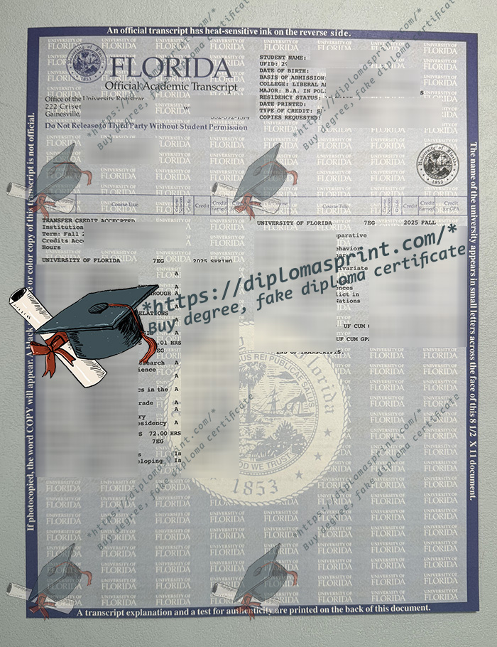 University of Florida Transcript