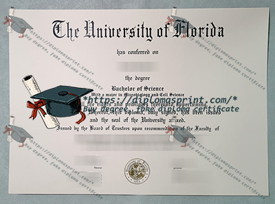 University of Florida Credentials