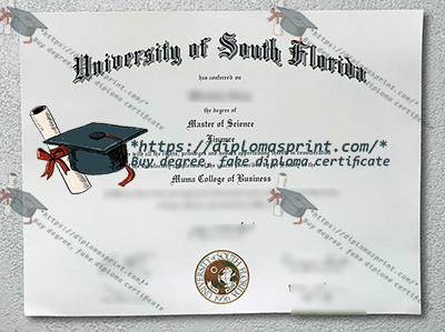 University of South Florida Credentials