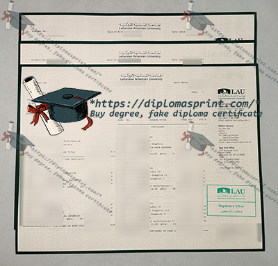 Lebanese International University Academic record