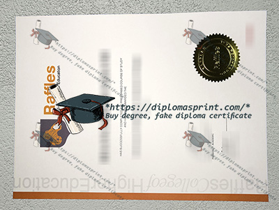 Raffles Design Institute Credentials