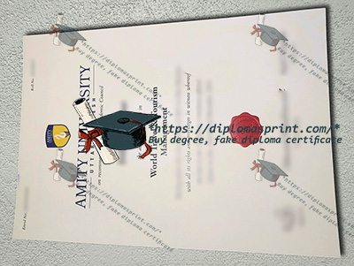 Amity University Credentials