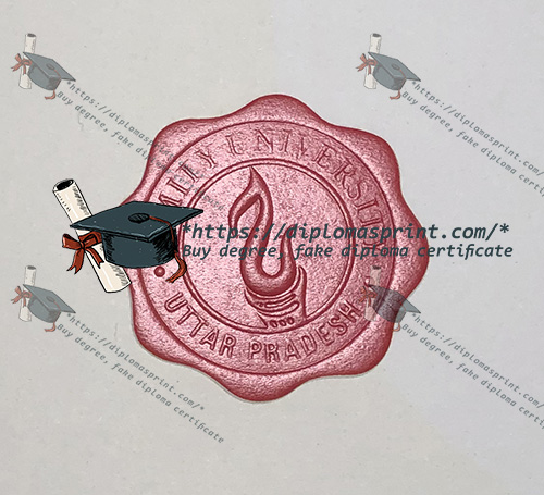 Amity University Credentials Seal