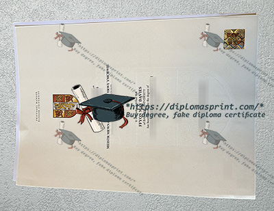 Bangor University Degree