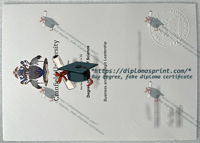 Cranfield University Qualification