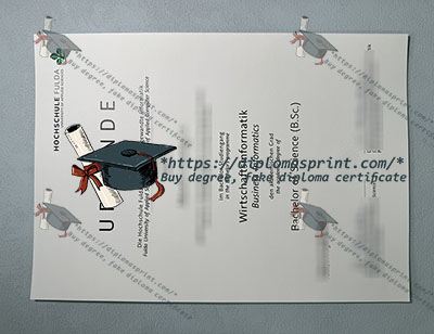 Hochschule Fulda Urkunde