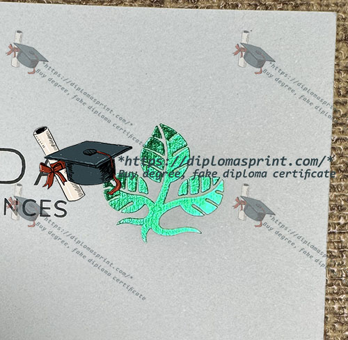 Hochschule Fulda Urkunde Hot stamping