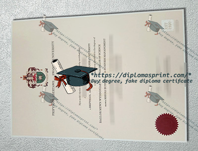 Swansea University Degree