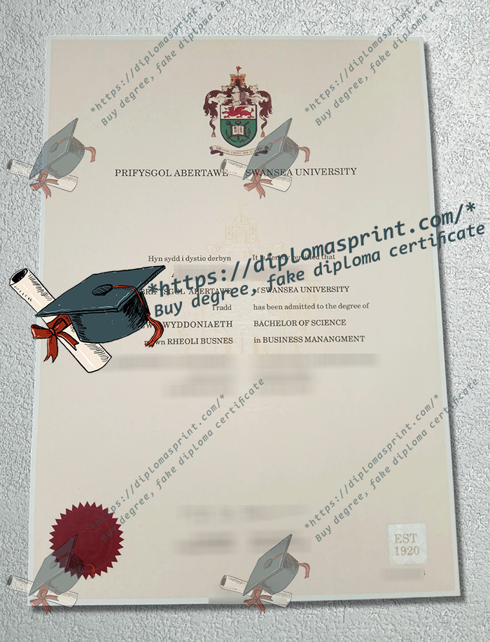 Swansea University Qualification, Swansea University Degree,