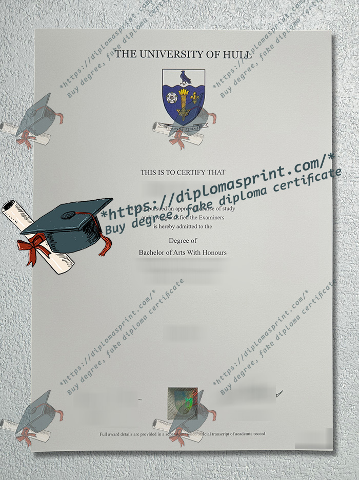 University of Hull Degree