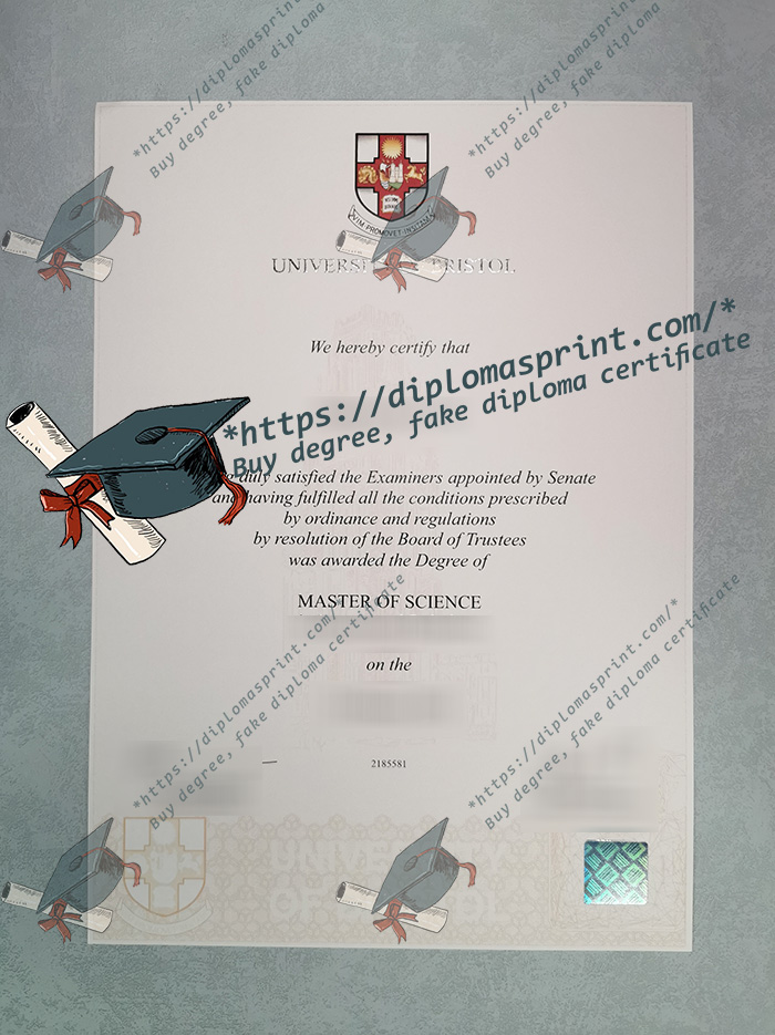 University of Bristol Degree