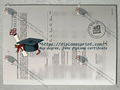 University of Bristol Academic record