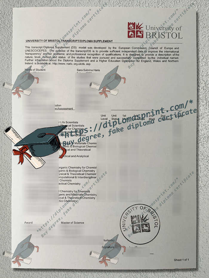 University of Bristol Transcript