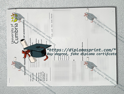 University of Cumbria Academic record