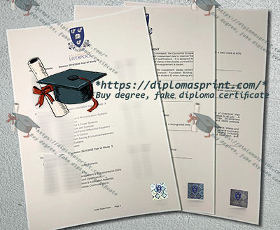 University of Liverpool Academic record
