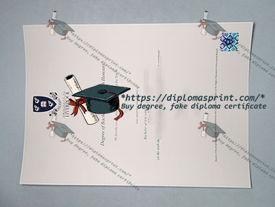 University of Liverpool Credentials