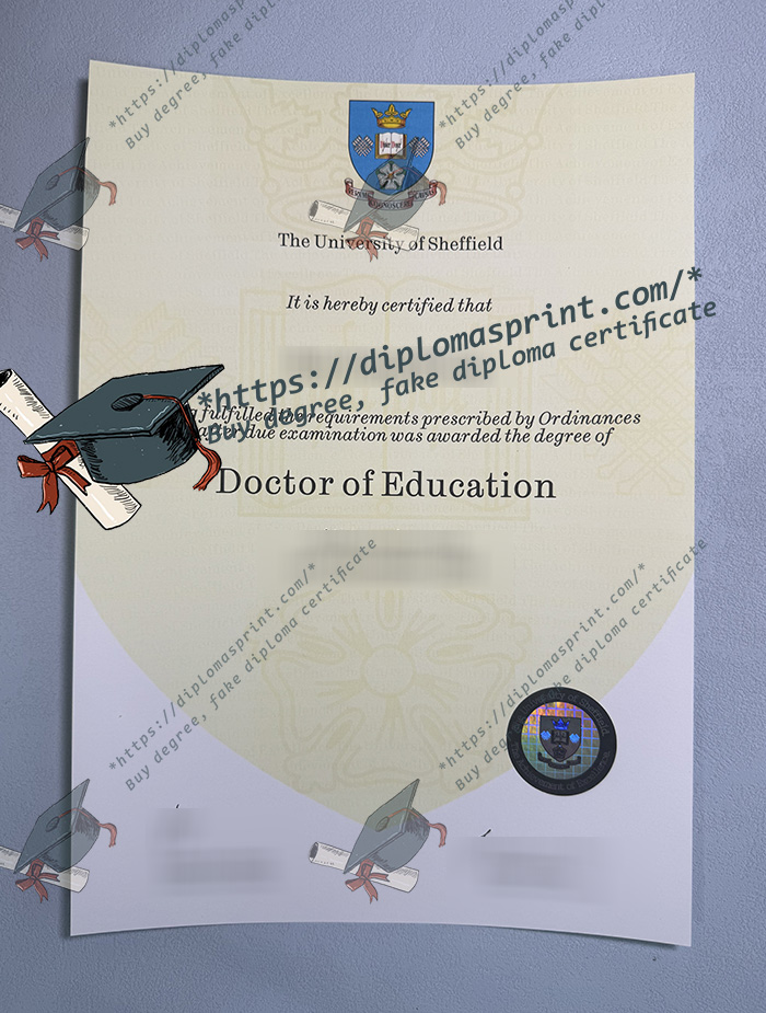 University of Sheffield Degree