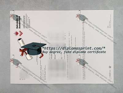 University of Sunderland Academic record