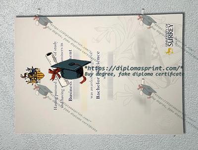 University of Surrey Qualification