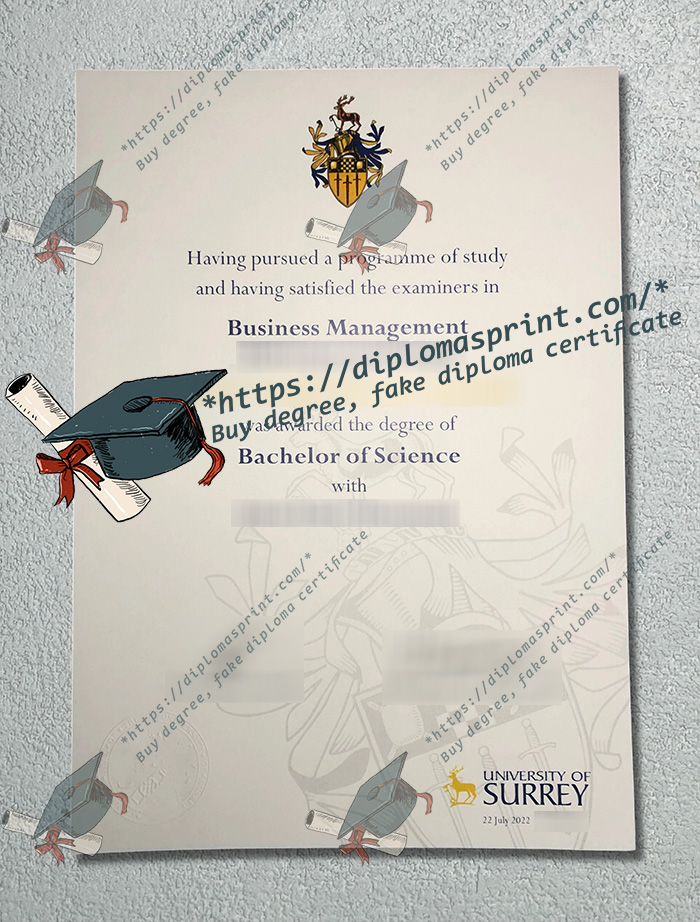 University of Surrey Degree