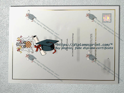 University of Winchester Degree