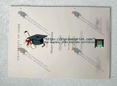 University of York Qualification