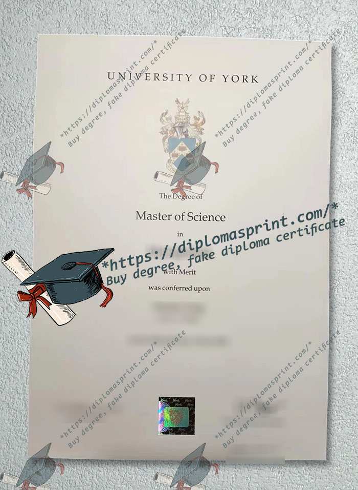 University of York Qualification, University of York Degree