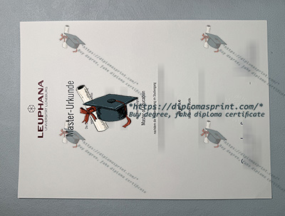 Leuphana Universität Lüneburg Urkunde