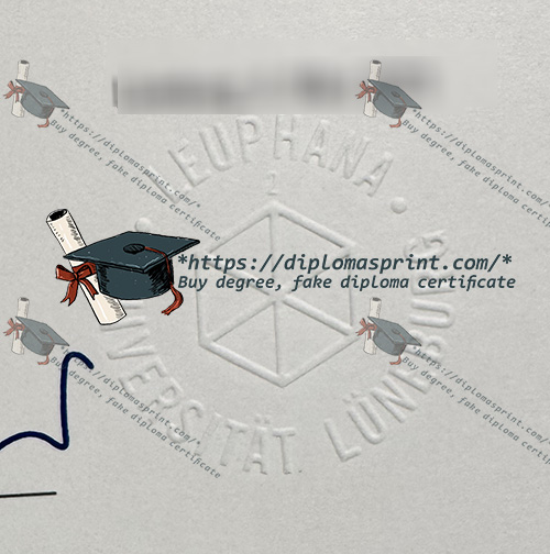 Leuphana Universität Lüneburg Urkunde seal