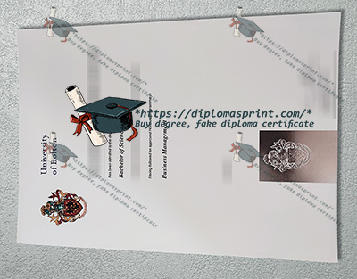 University of Bolton Qualification