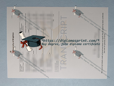 University of Brighton Transcript