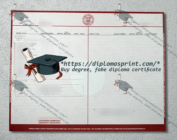 Cornell University Academic record