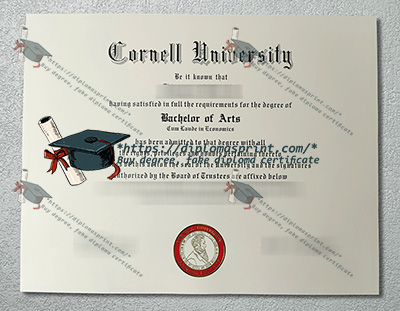Cornell University Diploma