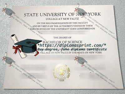 SUNY New Paltz Credentials