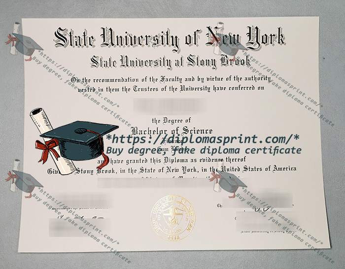 Stony Brook University Credentials