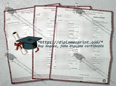 Stony Brook University Academic record