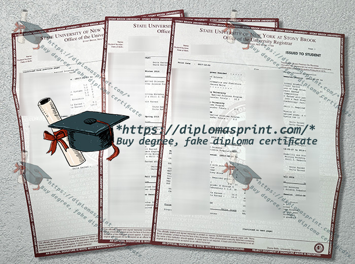 Stony Brook University Academic record, Stony Brook University Transcript