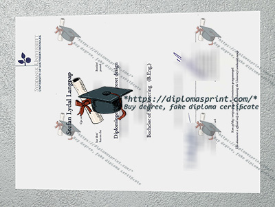 Syddansk Universitet Diploma